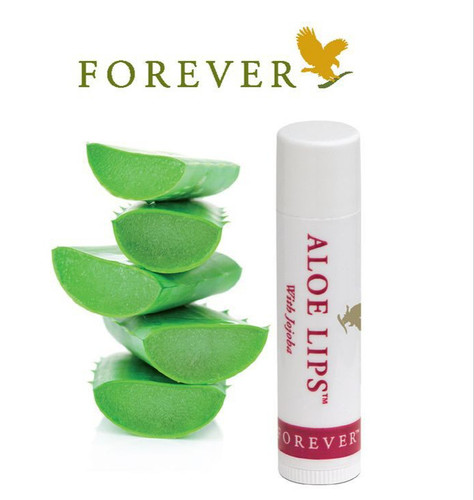 بالم لب فوراور